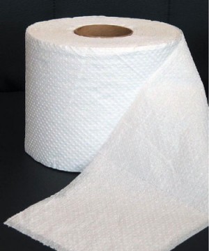 giấy vệ sinh loại thường